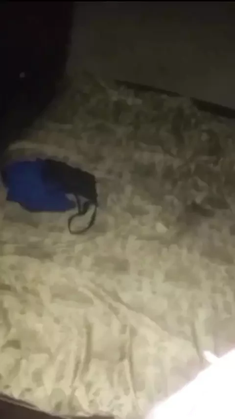 Saturday Night Sex