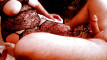 Pregled videozapisa