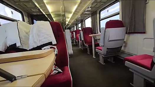 Adrenalin Im Zug. Auf Der Toilette Erwischt.