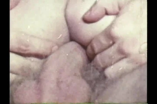 Vintage 70s - anal diary part8