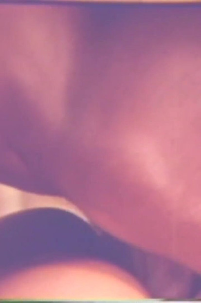 Eric Edwards Wild Fucker