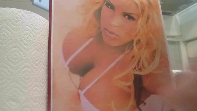 Cum Tribute Big Tits of Bobbi Billard
