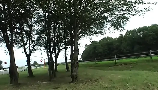 Wild Car Sex with Handjobs, Blowjobs & Outdoor Fucking
