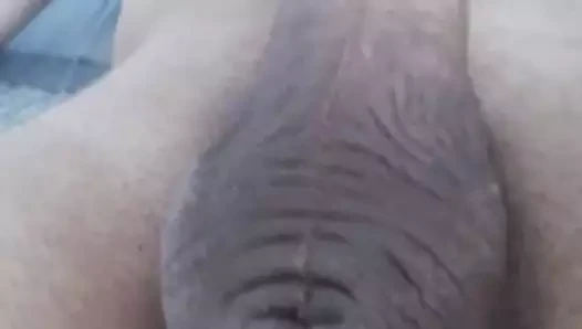 Para Poli Kavlomenos