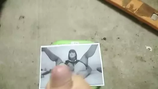 Cdsammyswan'a haraç
