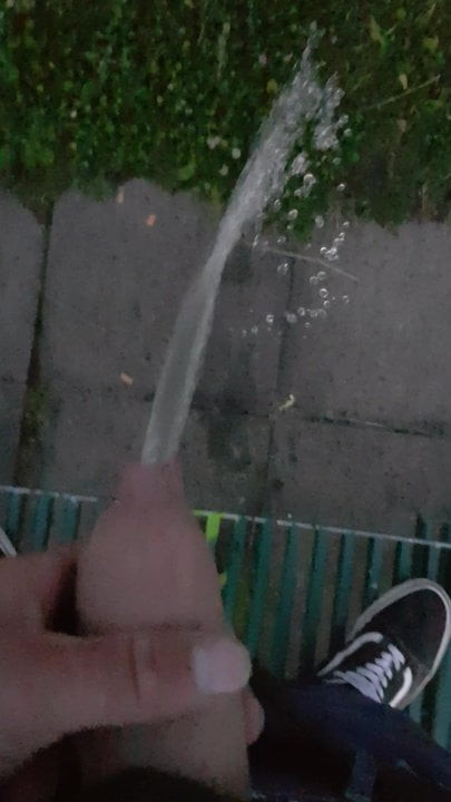 Pissing