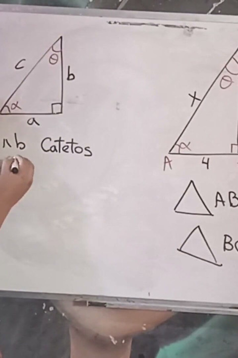 86 Seksuell trigonometri Pythagoras' læresetning