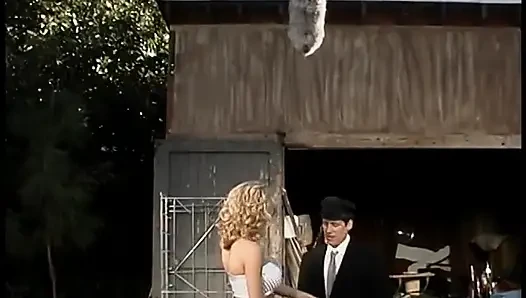 Ateşli porno yıldızları içeride film çekerken iş başında