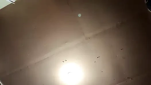 Streaming Dimulai pada 02/18/2024 08:43 Apakah Saya Harap Anda Menangkap yang Ini