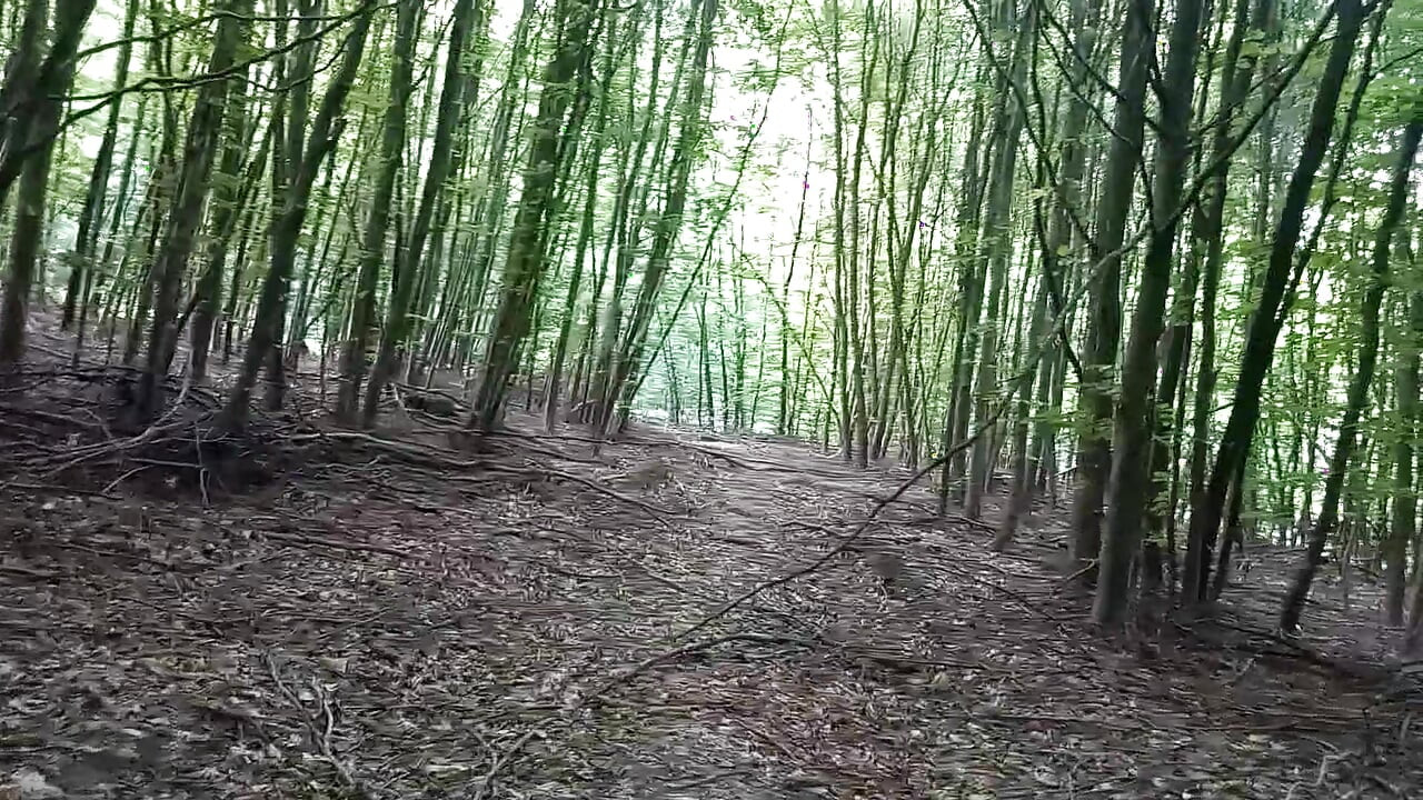 Outdoor in the forest snotted
