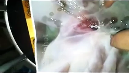 haraç soniahot