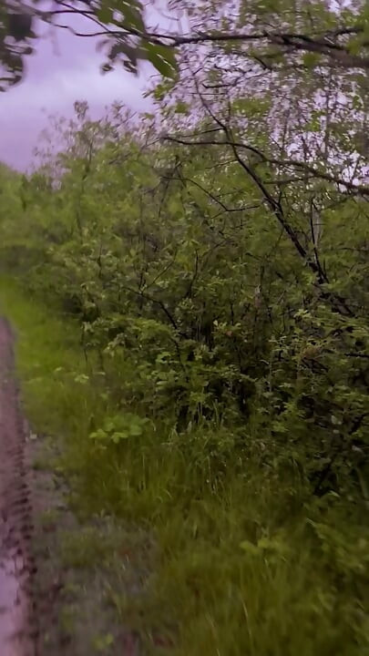 Exploring new tracks walking naked barefoot