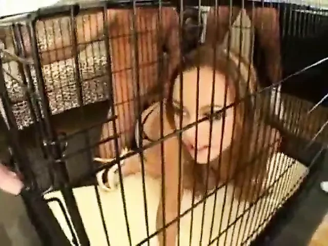 GAUGE GANGBANG