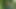 in the woods took off a hiker's panties and filled her pussy with cum.