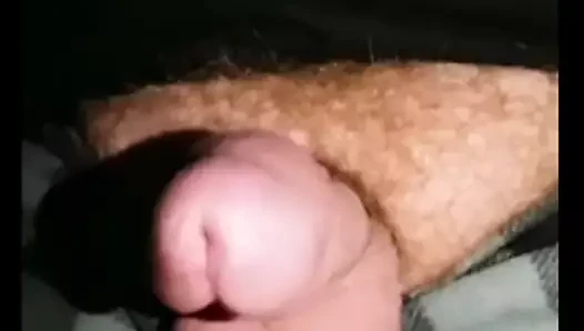 Ayı cum bir gece içmeden sonra balkonda vurdu