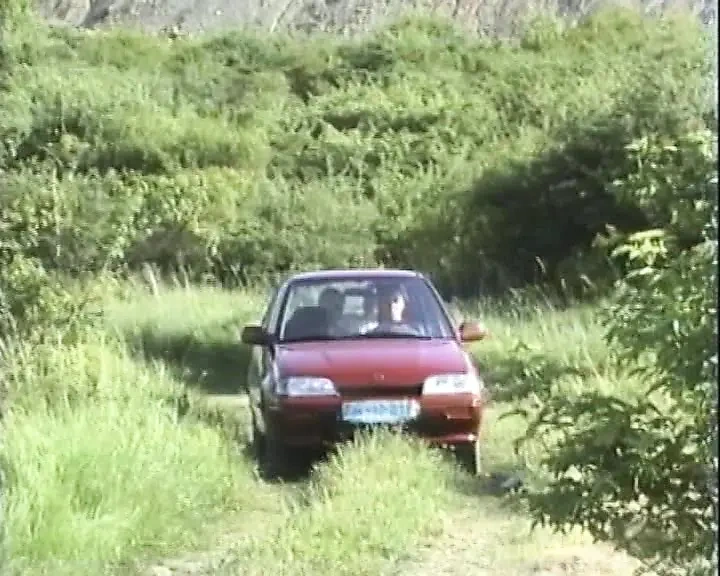 私人3P激情红发女郎狂野地吮吸鸡巴