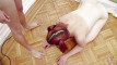 Pregled videozapisa