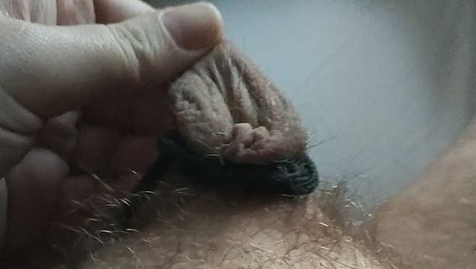 Urso de pau pequeno ordenado a amarrar Foreskin