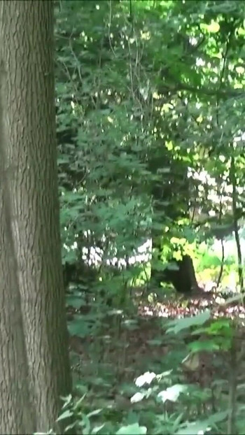 Must-see moment from "Cute Teen Jeeny Real Public Threesome in Berlin Tiergarten"