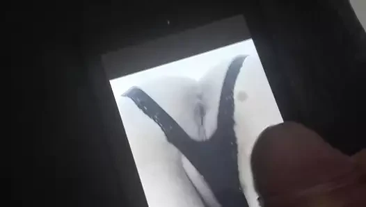 Cum haraç