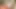 Solo girl Daphne Klyde is using a black dildo, in VR