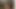 ELECTRO VIEW FOR THE TOP CUMSHOT