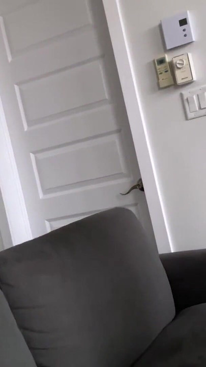 Jaw-dropping moment from "Alone Together DAY 13"