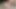 Dlakava guzica željno uzima crveni dildo - luda studentica