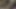 الملاك الآسيوي 25834