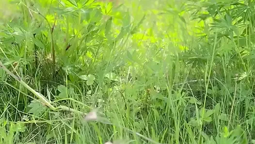 Naked girl in the forest