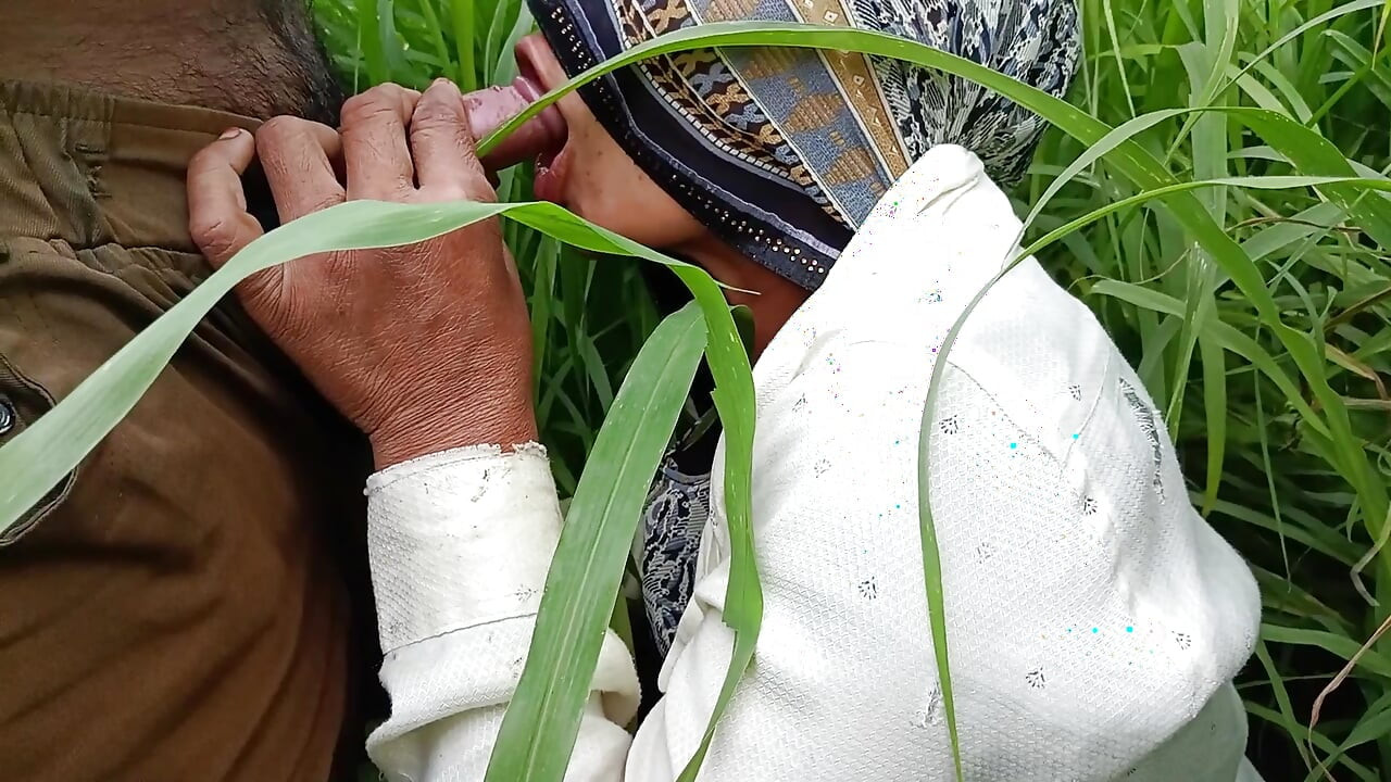 In the millet field, my elder sister-in-law sucked the cock and ass Mari opened the field of millet and killed my sister-in-law's ass