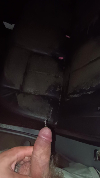 my lovely pissing on muddy car seats