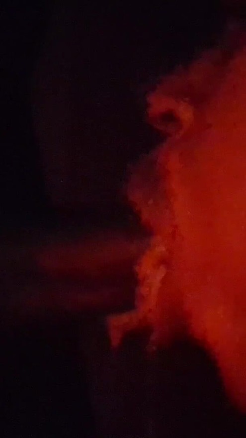 RED light special | Clip 1