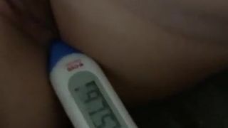 Rectal Temperature #14 - Leela