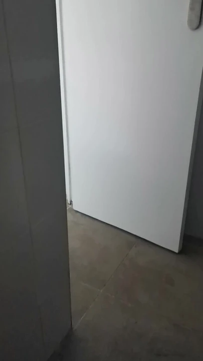 Public masturbation in girls' bathroom