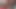 バフママは花よりもホエイプロテインを好む