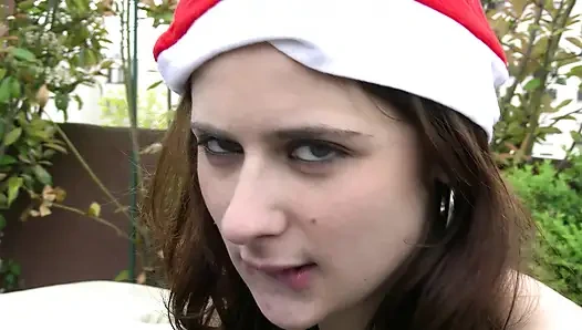 Рождественская жажда в саду, факты членов