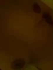 Zgodna