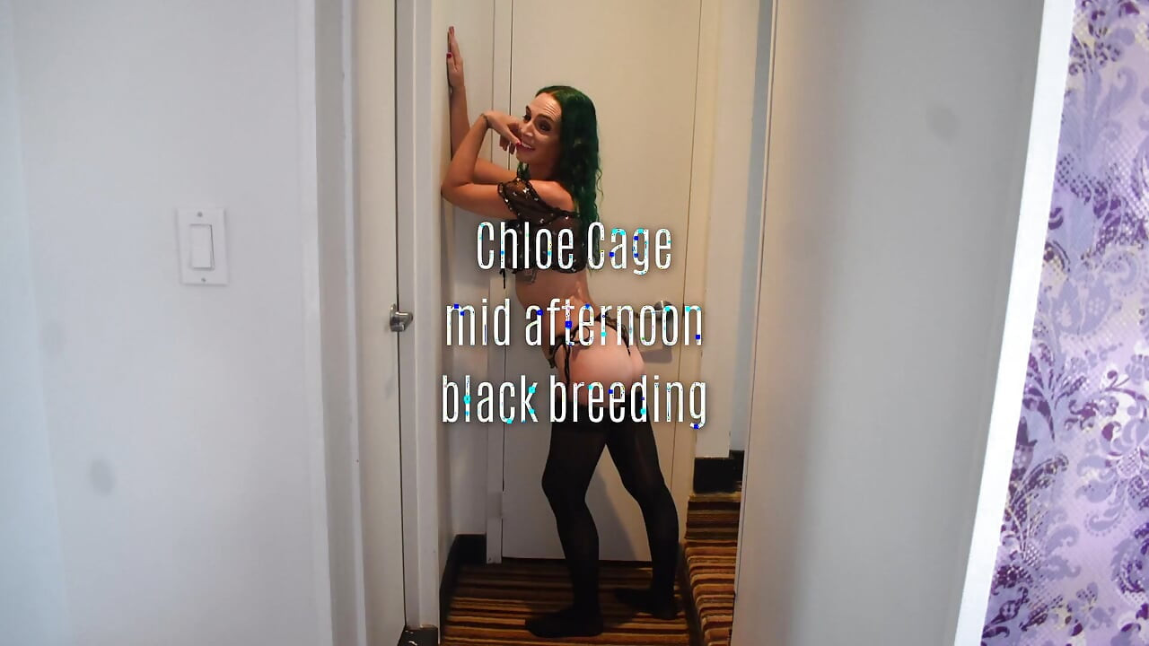 Chloe Cage Mid Afternoon Black Breeding