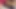 Arab Muslim girl playing with her anus gets very horny and starts fucking with a black guy