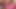 Brynn