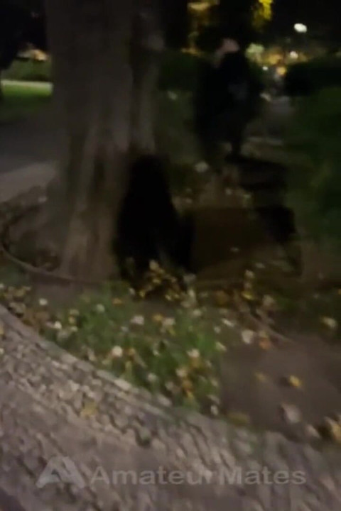 Amateur Boy Caught Peeing in a Park and Given a Handjob