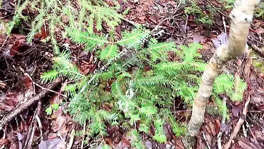 pussy pissing  water on the rock