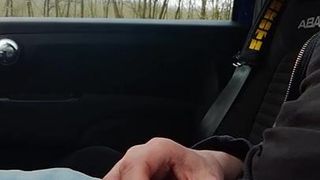 Zeigen Sie Penis im Auto