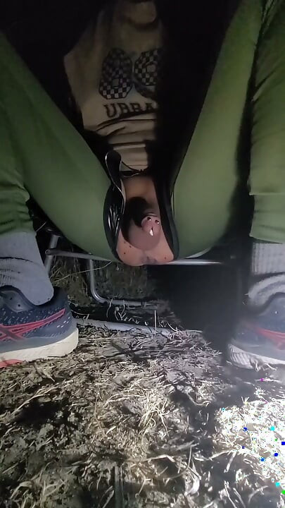 Hungry Mosquitoes