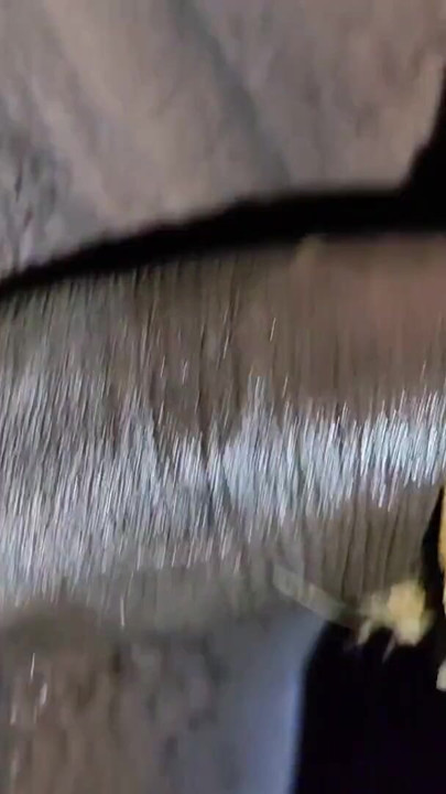 Indian Teen Boy Fucks a Bamboo Hole For enjoyment and Pours lot of cum inside it | Clip 1