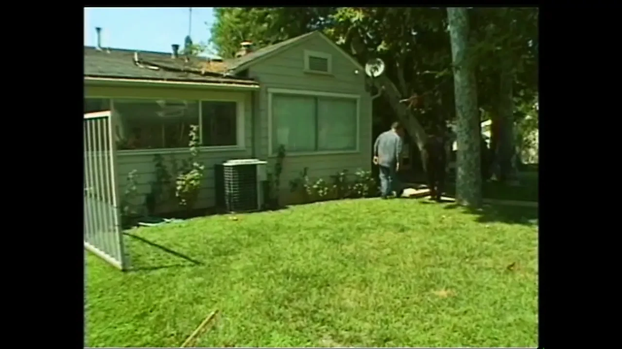 Sex and the Big Cock Seduction