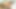 きついアソコ、アジアのピナイの脚が激しいオーガズムで震えている