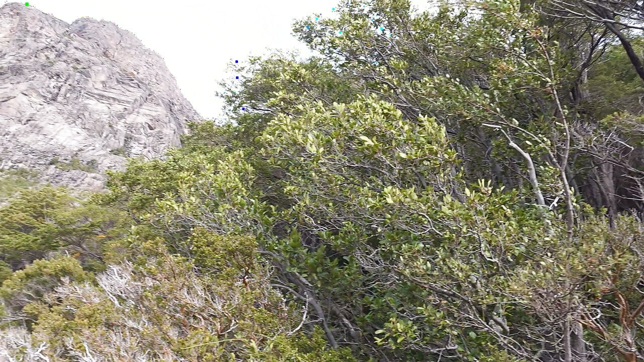 Hiking buddies have sex in the woods