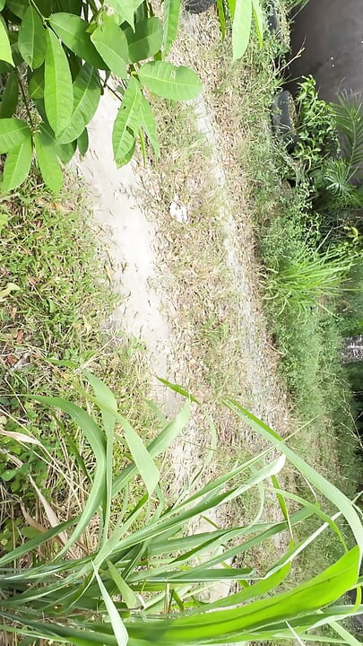 Campesina Colombiana Se Masturba Afuera De Su Casa Para Que Los Vecinos La Miren